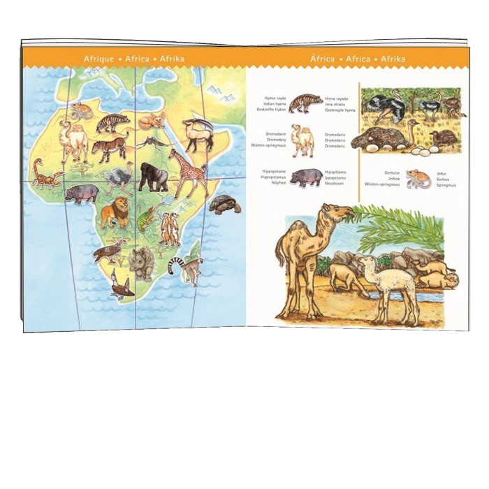 PUZZLE OBSERVATION ANIMALES DEL MUNDO - Imagen 3