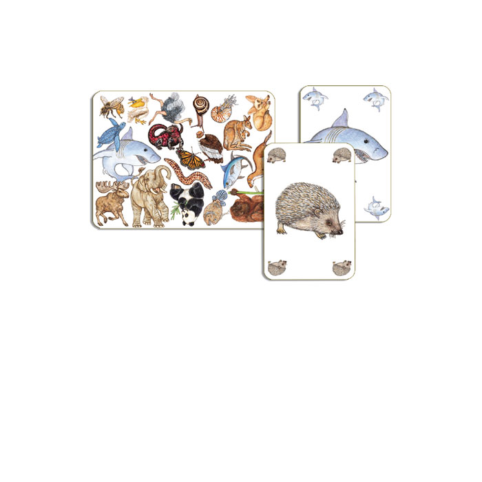 ZANIMATCH - Imagen 2