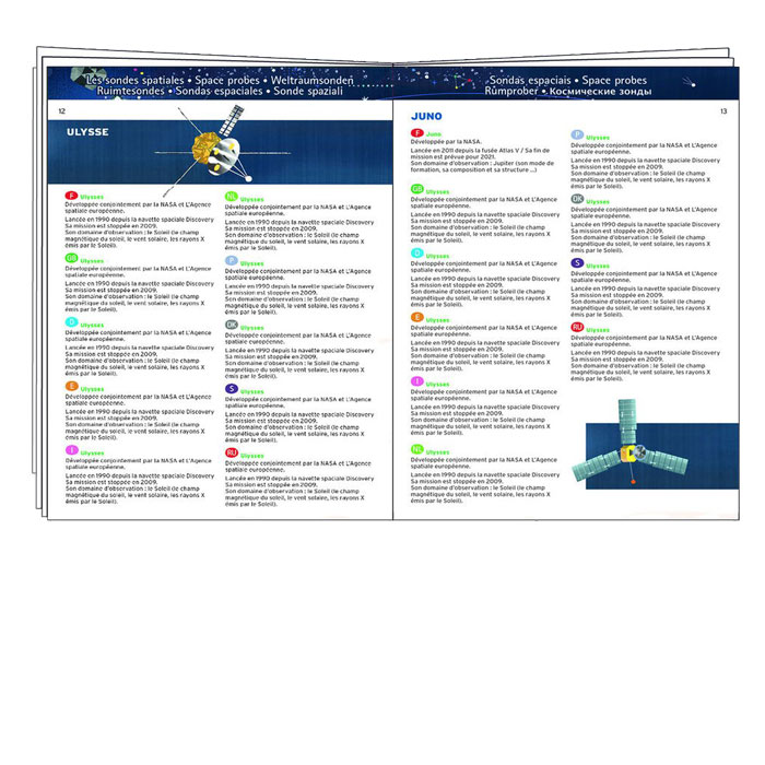 PUZZLE OBSERVACIÓN LA ESCUELA DE ERIZOS - Imagen 3