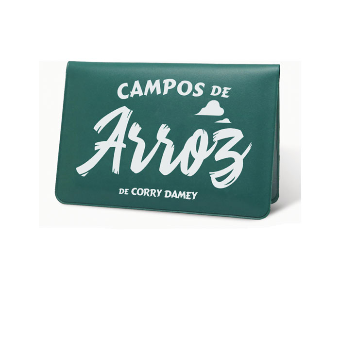 CAMPOS DE ARROZ