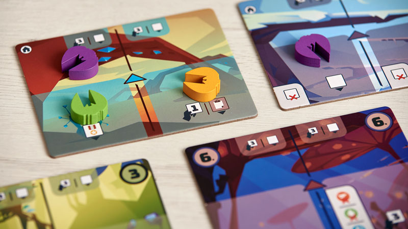 WILD SPACE - Imagen 3