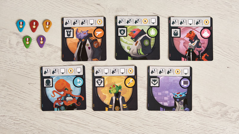 WILD SPACE - Imagen 4