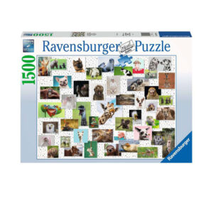 PUZZLE COLLAGE DE ANIMALES DIVERTIDOS