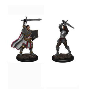 PALADÍN HUMANO, D&D