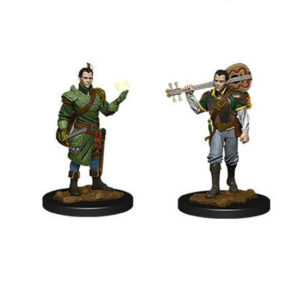 BARDO MEDIO ELFO, D&D