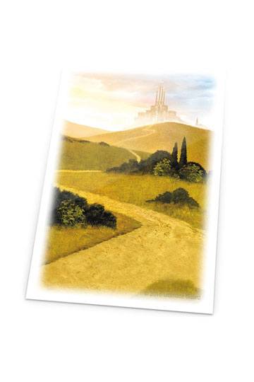 FUNDAS DE CARTAS TAMAÑO ESTÁNDAR LANDS EDITION LLANURA I (80)