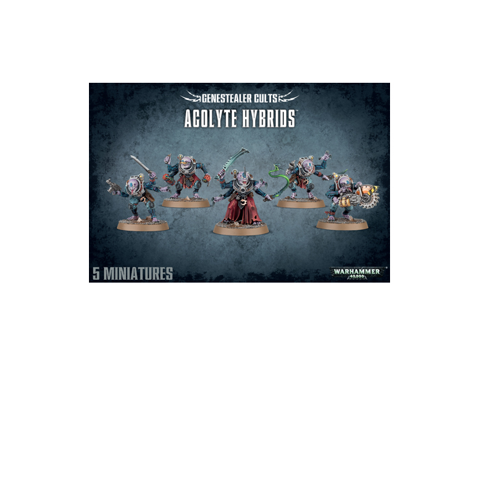 ACOLYTE HYBRIDS - Imagen 2